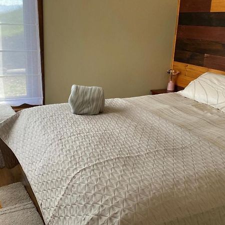 Cabanas Las Terrazas De Iculpe Población Población Lago Ranco Eksteriør billede